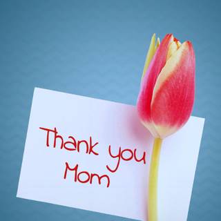 Mothers Day cute wallpaper