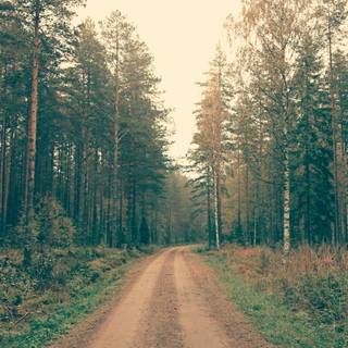 Dirt roads wallpaper