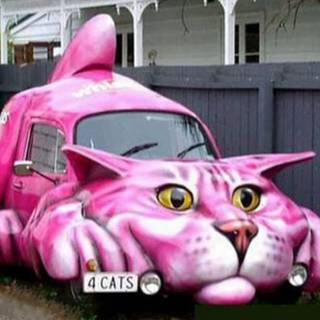 Cat car wallpaper