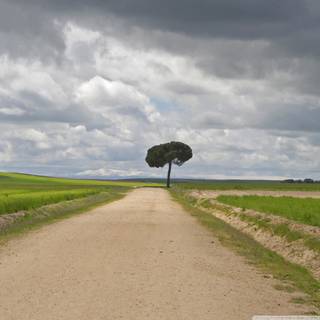 Dirt roads wallpaper