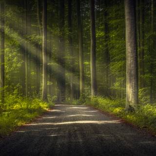 Dirt roads wallpaper