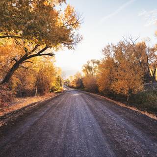 Dirt roads wallpaper