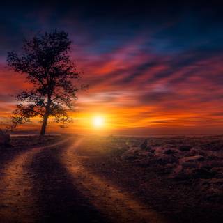 Dirt roads wallpaper