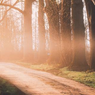 Dirt roads wallpaper