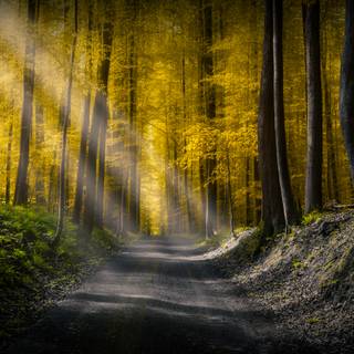 Dirt roads wallpaper