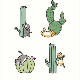 Cat cactus wallpaper