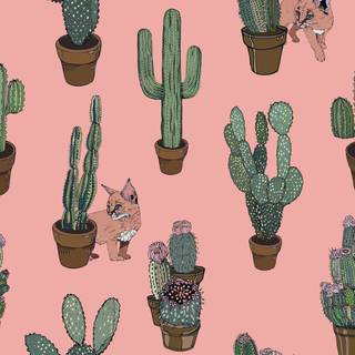 Cat cactus wallpaper