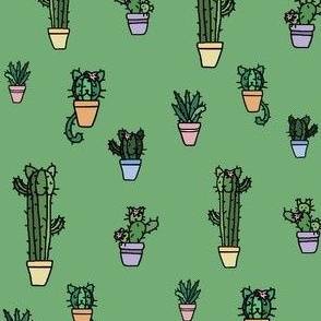Cat cactus wallpaper