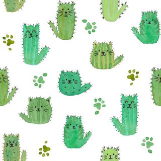 Cat cactus wallpaper