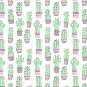 Cat cactus wallpaper