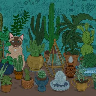 Cat cactus wallpaper