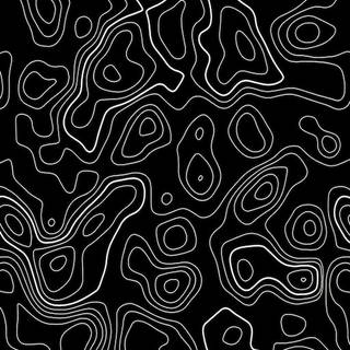 Topo black wallpaper