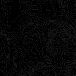 Topo black wallpaper