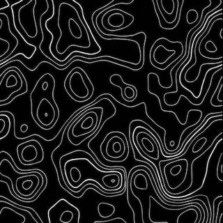 Topo black wallpaper