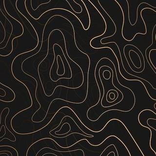 Topo black wallpaper