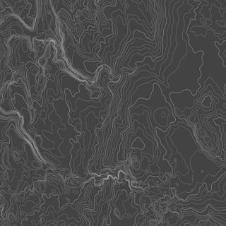 Topo black wallpaper