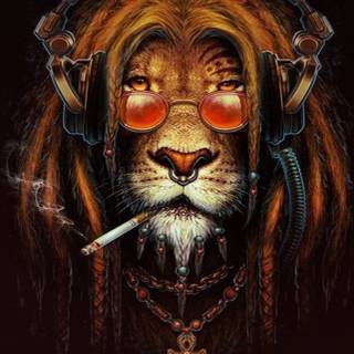 Lion HD 4k iPhone wallpaper