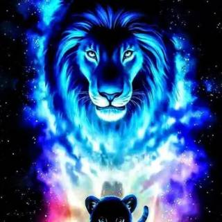 Lion HD 4k iPhone wallpaper