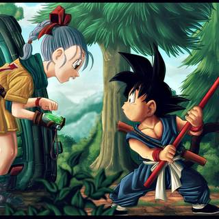 Bulma computer wallpaper