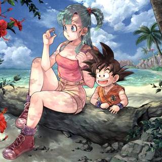 Bulma computer wallpaper