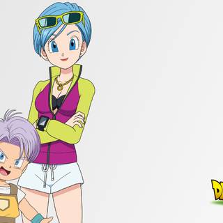 Bulma computer wallpaper