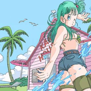 Bulma computer wallpaper