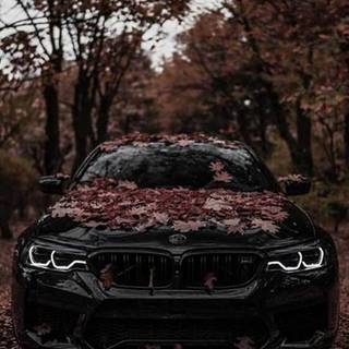 BMW iPhone 14 Pro Max wallpaper