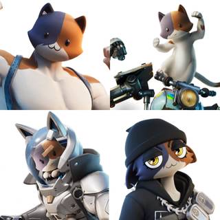 Katt Fortnite wallpaper