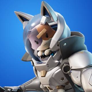 Katt Fortnite wallpaper