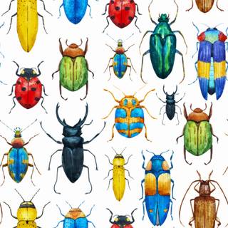 Entomology wallpaper