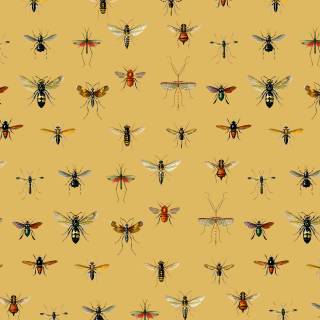 Entomology wallpaper