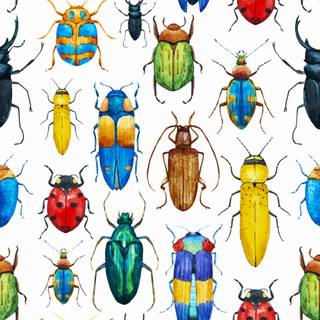 Entomology wallpaper