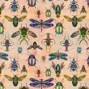 Entomology wallpaper