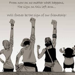 One Piece Nakama wallpaper