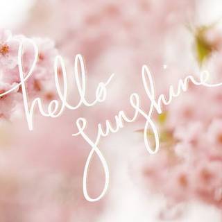 Hello spring laptop wallpaper