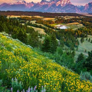 Spring simple vertical wallpaper