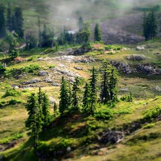 Country laptop wallpaper