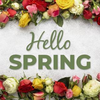 Hello spring laptop wallpaper