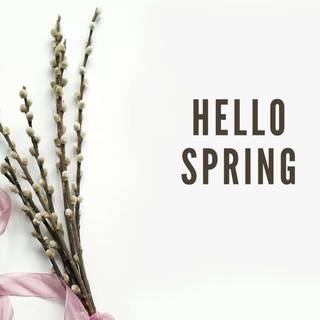 Hello spring laptop wallpaper