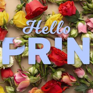 Hello spring laptop wallpaper