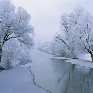 Cartoon winter PC wallpaper