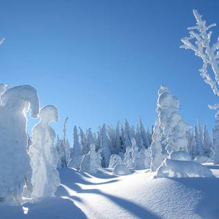 Snow place wallpaper