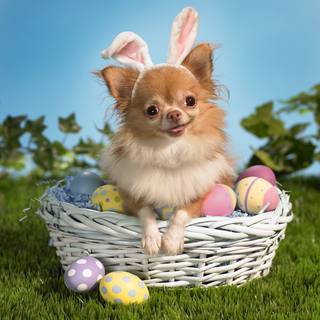 Preppy Easter laptop wallpaper