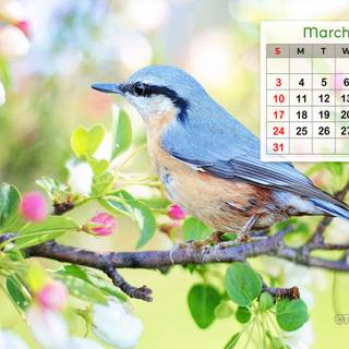 March 2024 calendar wallpaper