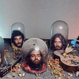 Canned Heat wallpaper