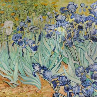 Vincent Van Gogh 4k wallpaper