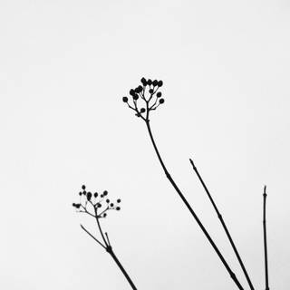 Minimalist iPad 4k wallpaper