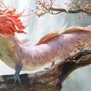 Dragon PC 4k wallpaper