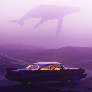 Purple cars 4k wallpaper