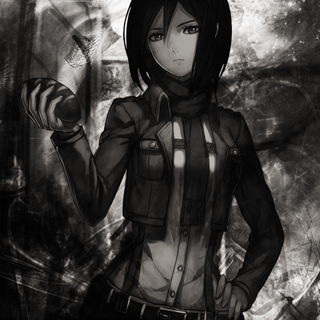 Mikasa iPhone 4k wallpaper